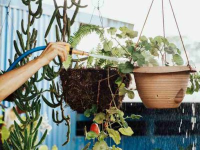 Donice dla roślin: Wybór odpowiednich materiałów do uprawy wewnątrz i na zewnątrz domu