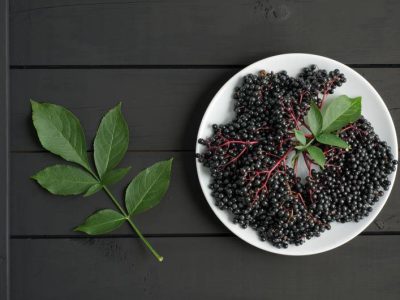 Owoc i liście czarnego bzu: ich właściwości i zastosowanie